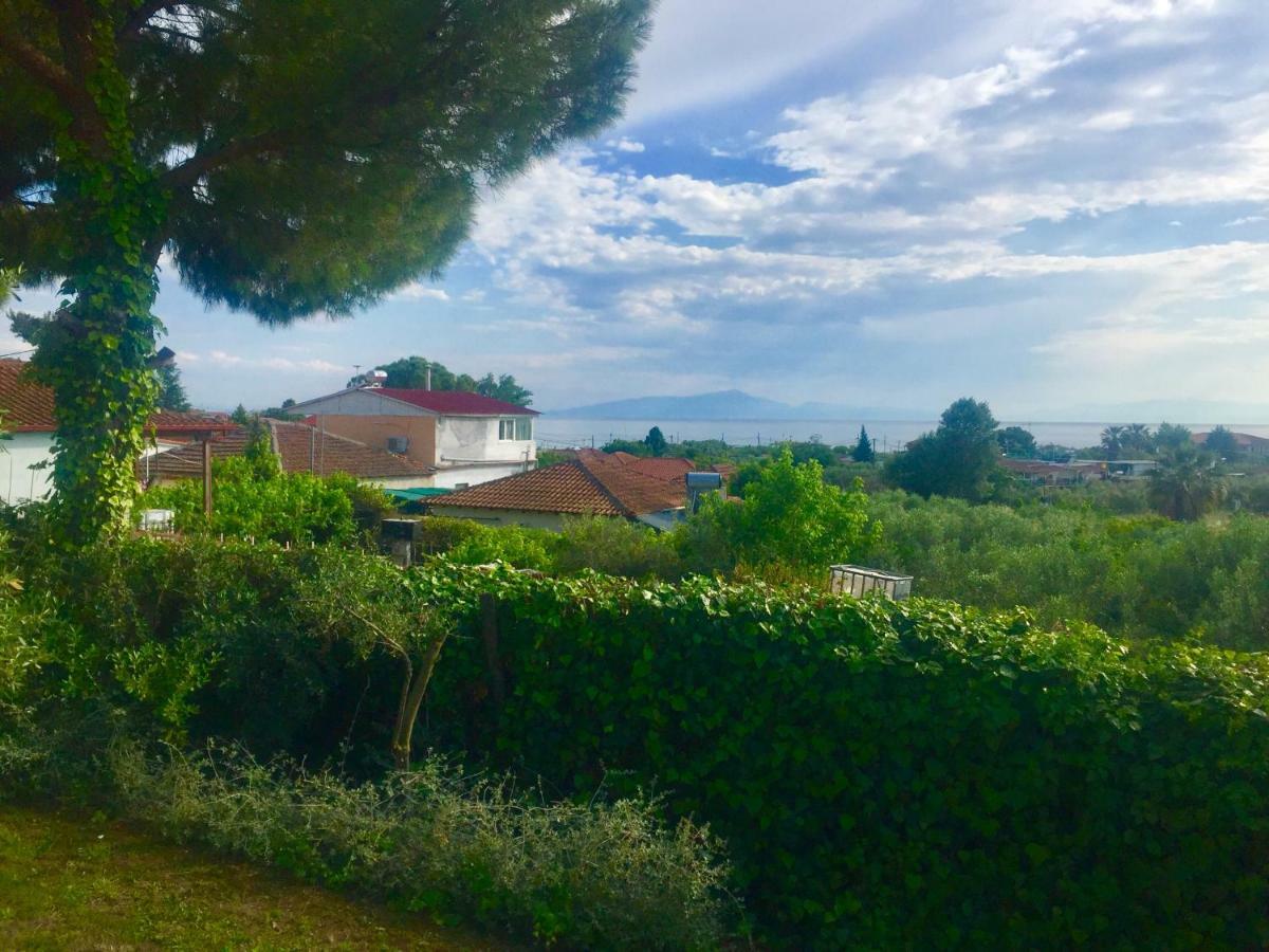 Sea View Villa In Olive Garden Nea Kallikrateia ภายนอก รูปภาพ