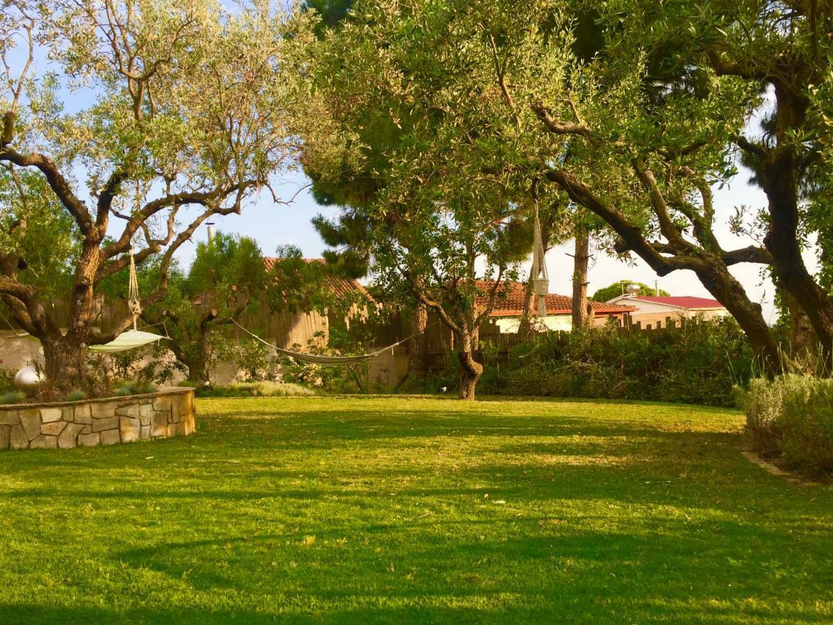 Sea View Villa In Olive Garden Nea Kallikrateia ภายนอก รูปภาพ