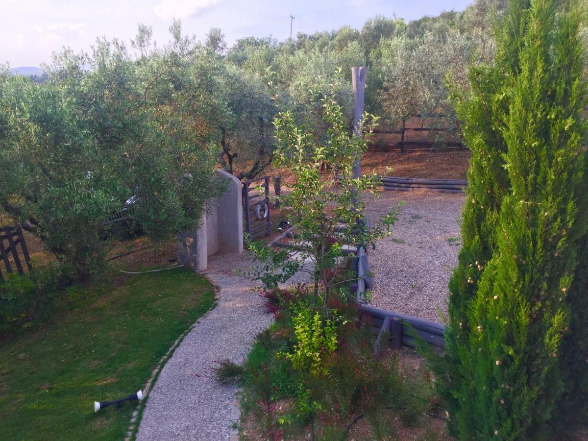 Sea View Villa In Olive Garden Nea Kallikrateia ภายนอก รูปภาพ