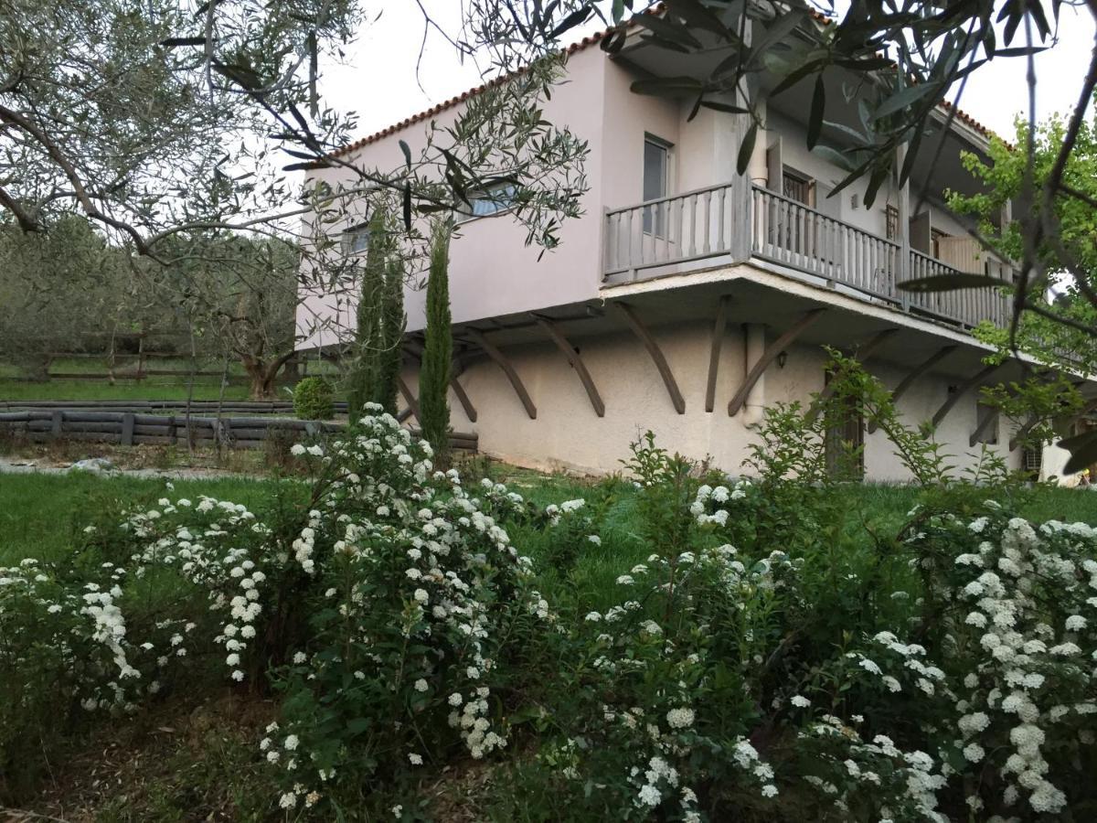 Sea View Villa In Olive Garden Nea Kallikrateia ภายนอก รูปภาพ